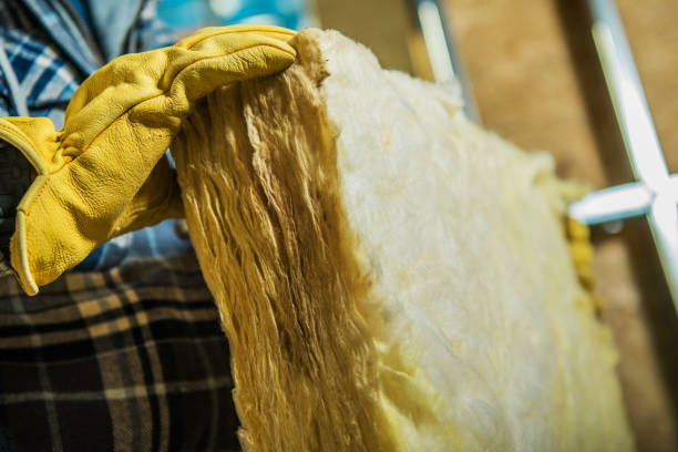 Best Spray Foam Insulation in Earlysville, VA