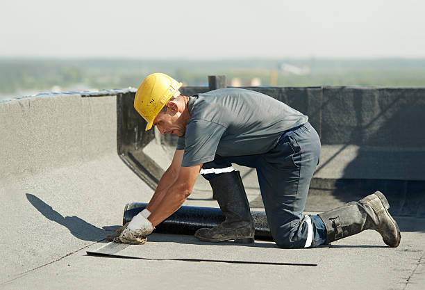 Best Spray Foam Insulation in Earlysville, VA