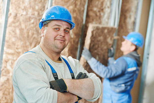 Best Geographic-Specific Insulation Services in Earlysville, VA
